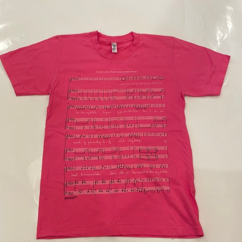 RARE Bjork museum Black Lake T-shirt